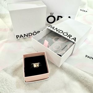 Pandora Club 2019 Treasure Box Charm